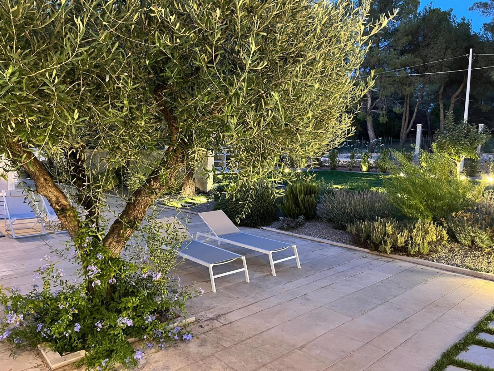 I Muretti A Secco B&B 蒙特堡 外观 照片